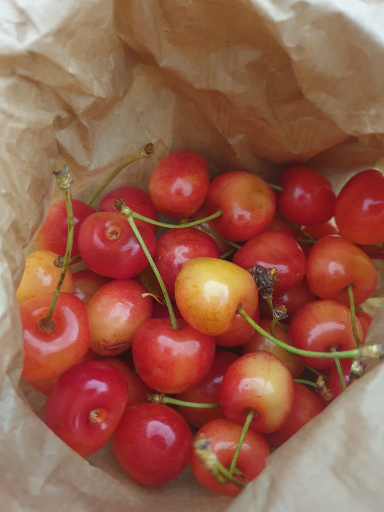 Illustration de l'article, les indispensable food